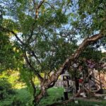 listing image thumbnail with ID 101324