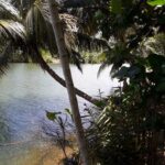 listing image thumbnail with ID 93995