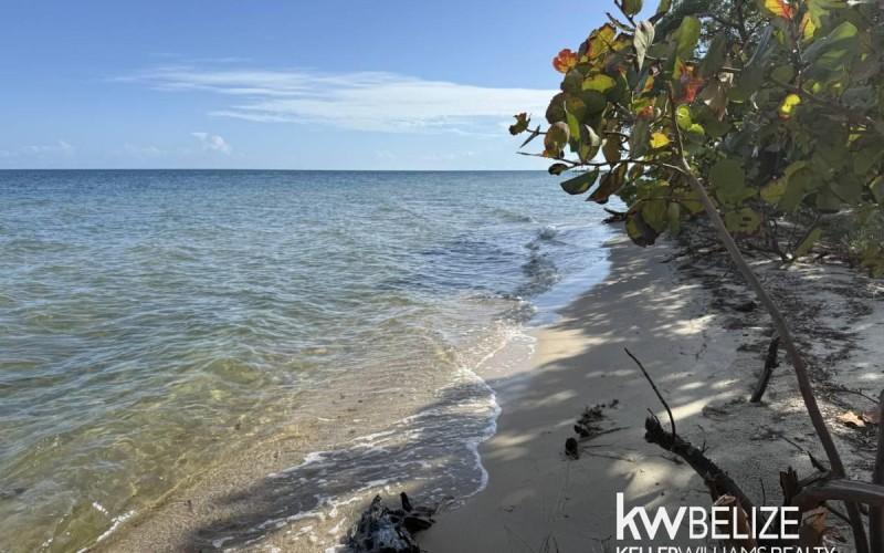listing image with ID 91807