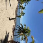 listing image thumbnail with ID 79888