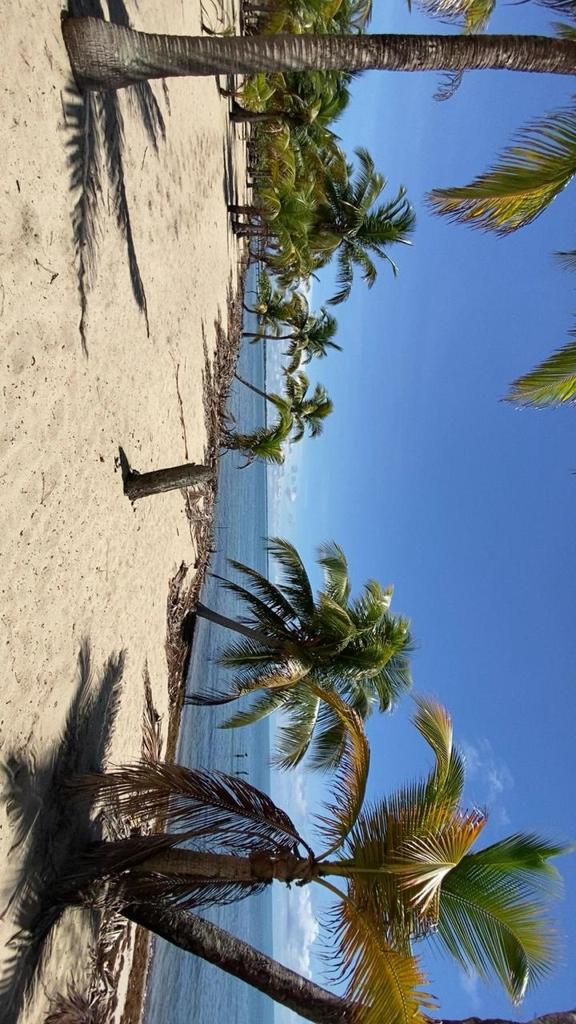 listing image with ID 79888