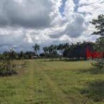listing image thumbnail with ID 88323