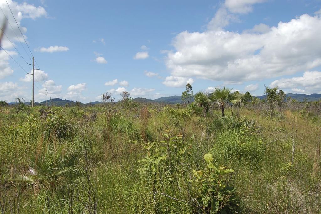 listing image with ID 97268