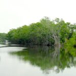 listing image thumbnail with ID 90140