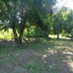 listing image thumbnail with ID 81697