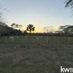 listing image thumbnail with ID 103265