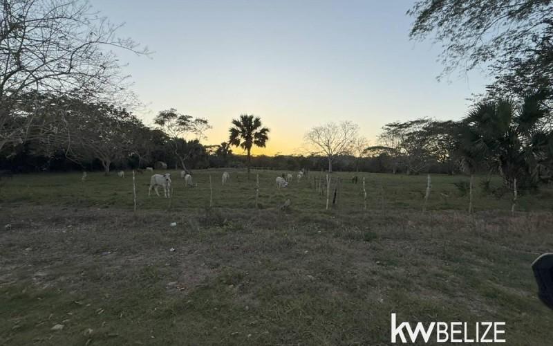 listing image with ID 103265
