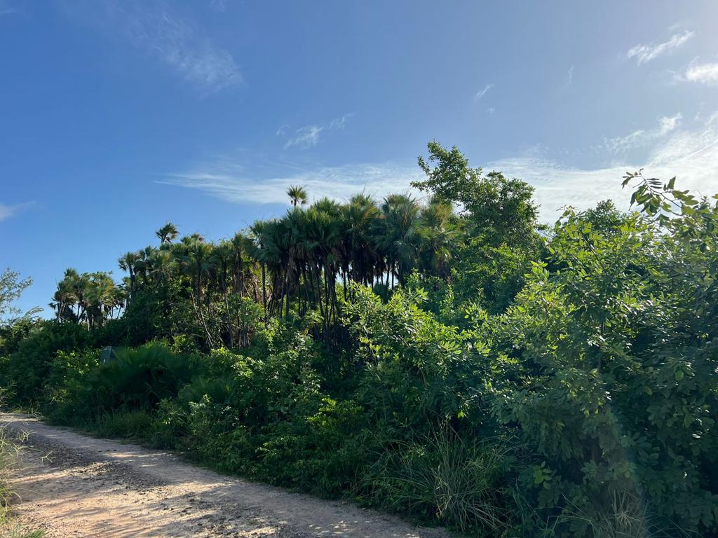 listing image with ID 102422