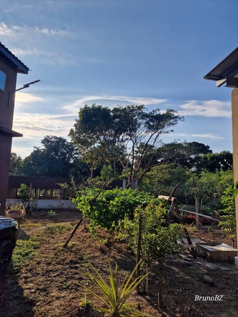 listing image with ID 87304