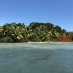 listing image thumbnail with ID 80298