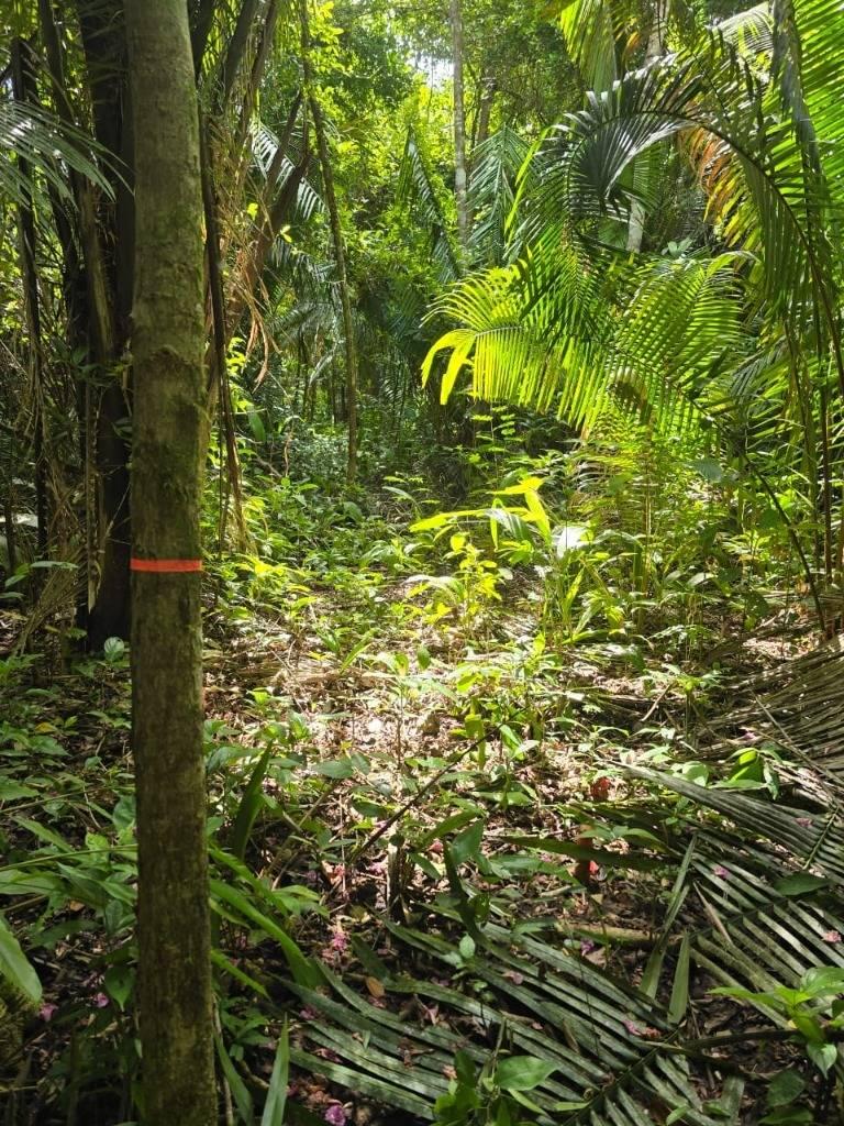 listing image with ID 100975