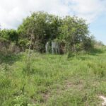 listing image thumbnail with ID 78515