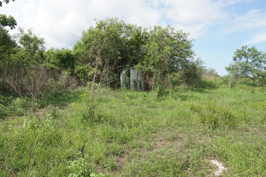 listing image with ID 78515