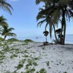 listing image thumbnail with ID 100245