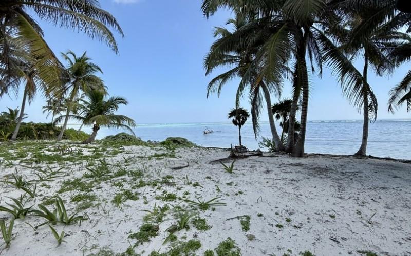 listing image with ID 100245