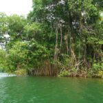 listing image thumbnail with ID 105739