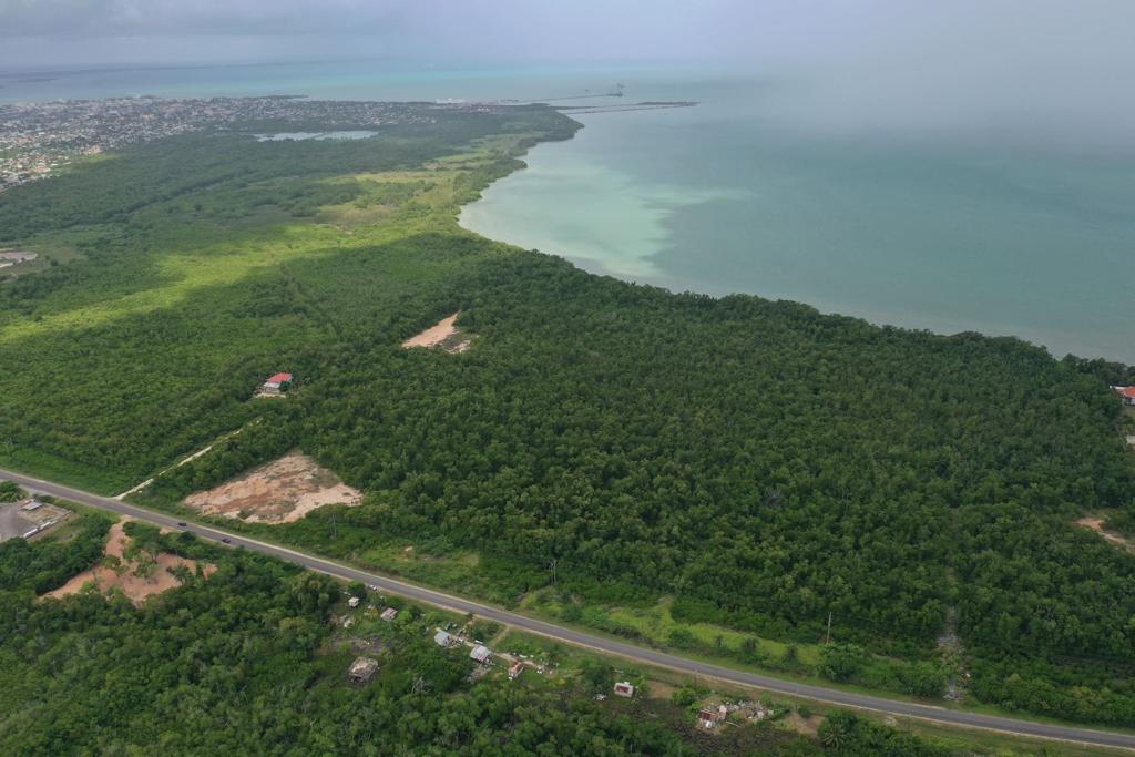 listing image with ID 95763