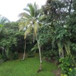listing image thumbnail with ID 80265