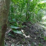 listing image thumbnail with ID 86757