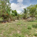 listing image thumbnail with ID 104810