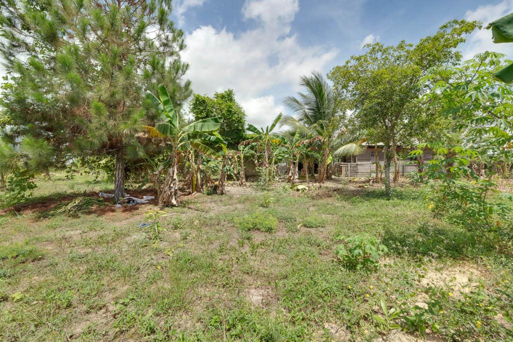listing image with ID 104810