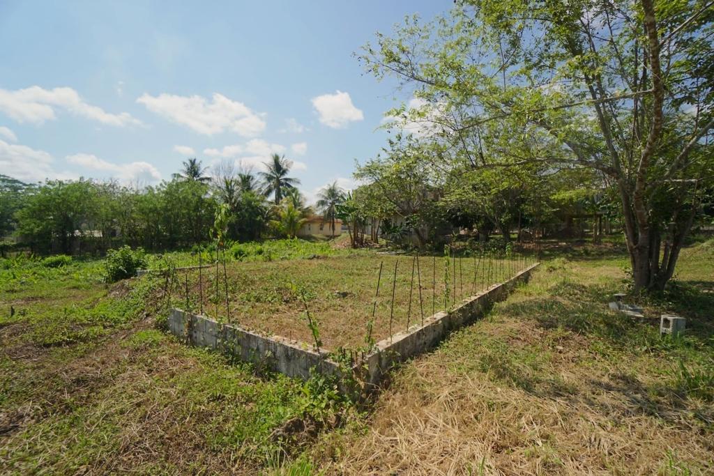 listing image with ID 84456