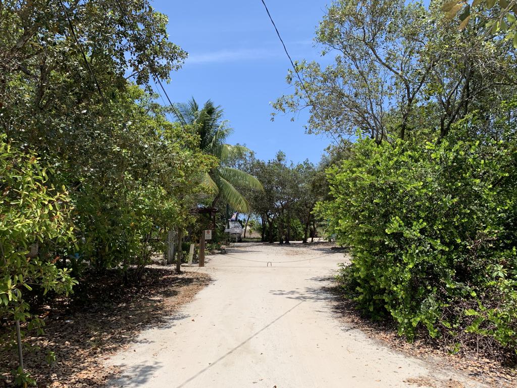 listing image with ID 76150