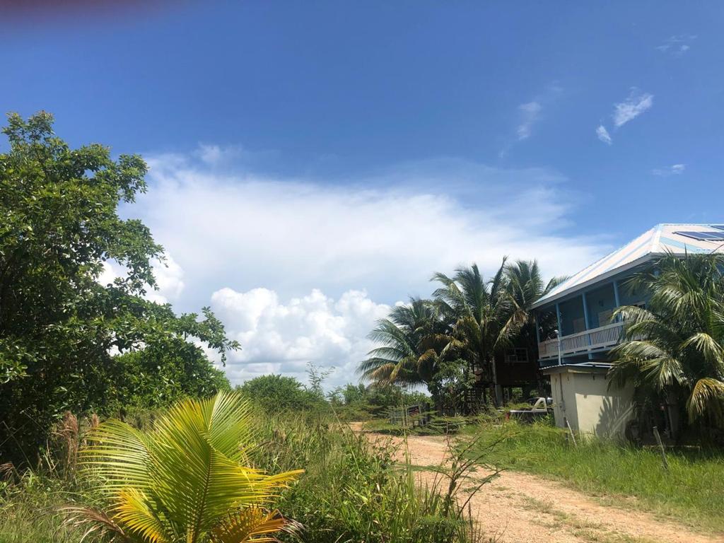 listing image with ID 77898