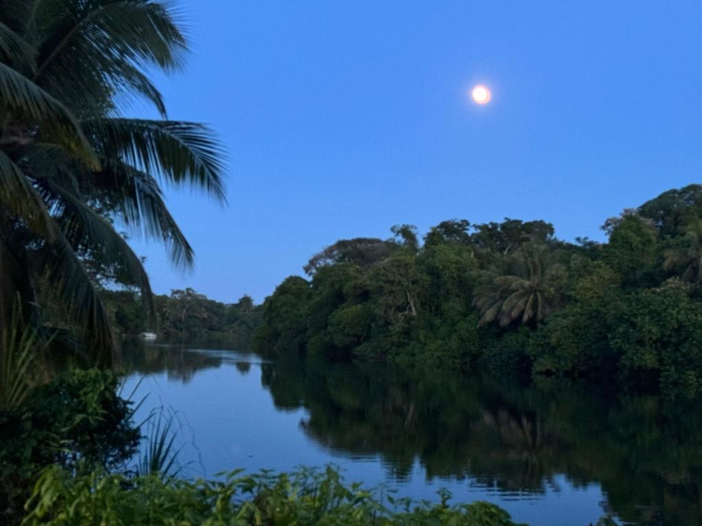 listing image with ID 105733