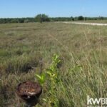 listing image thumbnail with ID 75666