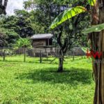 listing image thumbnail with ID 93963