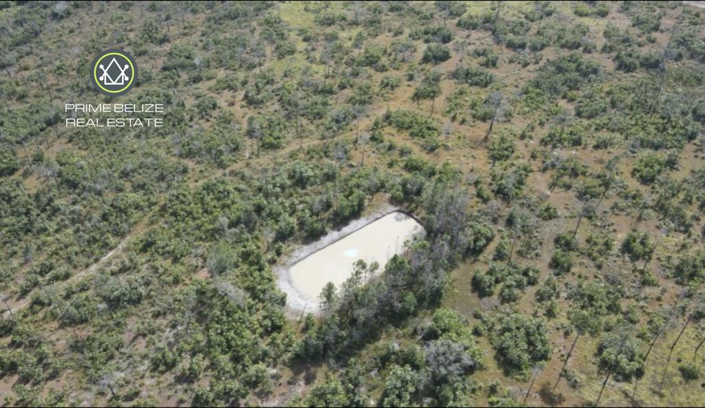 listing image with ID 103555
