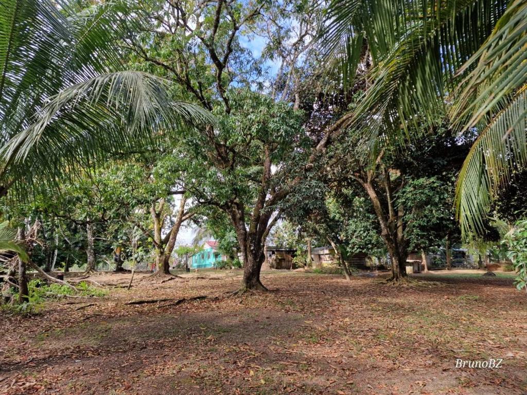 listing image with ID 106616
