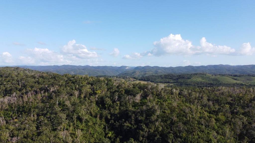 listing image with ID 105331