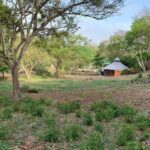 listing image thumbnail with ID 90685