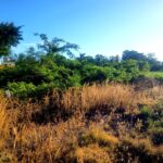 listing image thumbnail with ID 102367