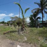 listing image thumbnail with ID 106581