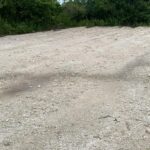 listing image thumbnail with ID 95530