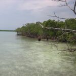 listing image thumbnail with ID 87360