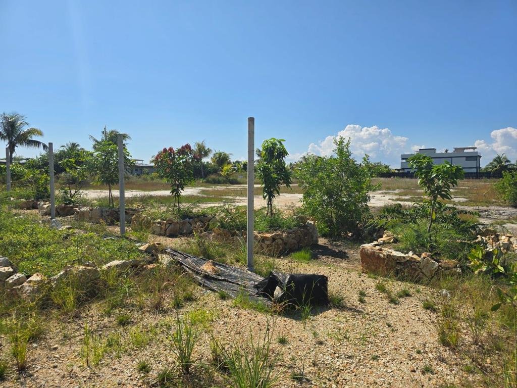 listing image with ID 107406