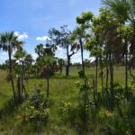 listing image thumbnail with ID 108595