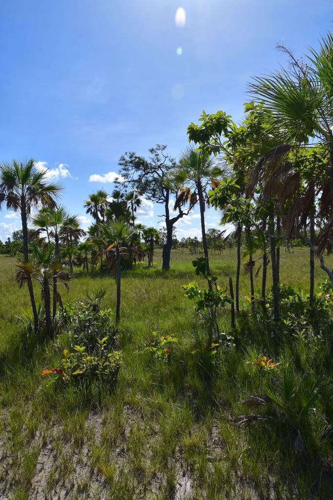 listing image with ID 108595