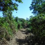listing image thumbnail with ID 98945