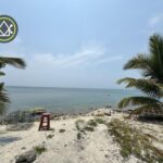 listing image thumbnail with ID 101835
