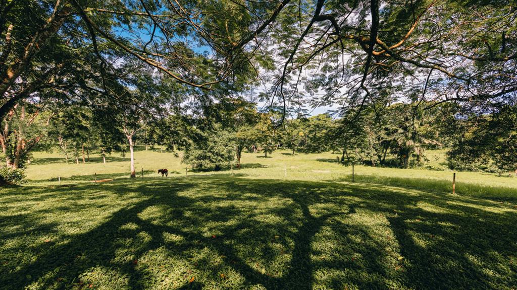 listing image with ID 74542