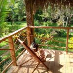 listing image thumbnail with ID 92278