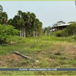 listing image thumbnail with ID 102327