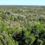 listing image thumbnail with ID 101892