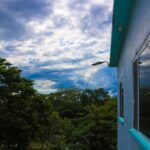 listing image thumbnail with ID 98237