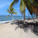 listing image thumbnail with ID 99037